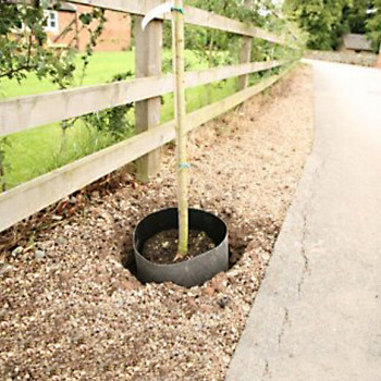 Our Products Root Guard 001